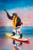 CHI 03 RK0183 01
Goin' Ape