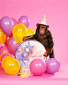 CHI 03 RK0022 06
Humorous Shot Of Eddie Wearing Party Hat Leaning On Drum Smiling With Sticks By Balloons Pink Seamless Background