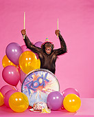 CHI 03 RK0023 01
Humorous Shot Of Eddie Wearing Party Hat Standing Behind Drum Sticks In Air By Balloons Pink Seamless
