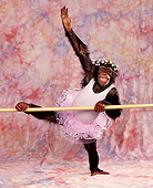 CHI 03 RK0024 01
Humorous Shot Of Eddie In Ballerina Outfit Holding Onto Bar With One Arm Up Mottled Background