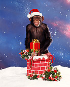 CHI 03 RK0033 04
Humorous Shot Of Eddie Looking Down Red Chimney With Xmas Hat On By Snow And Decorations Starry Night