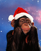 CHI 03 RK0036 06
Humorous Head Shot Of Eddie Wearing Christmas Hat Smiling Starry Night