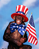 CHI 03 RK0058 13
Humorous Shot Of Sally Wearing American Outfit Holding Flag Smiling Blue Clouds Background