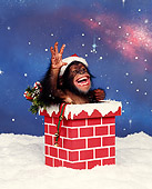 CHI 03 RK0069 06
Humorous Shot Of Bernie Sitting In Red Chimney Wearing Xmas Hat Smiling By Snow Starry Night
