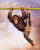 CHI 03 RK0199 01
Hang In There