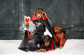 CHI 03 RK0292 01
Humorous Dracula Chimpanzee: Count Chimpula