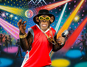 CHI 03 RK0294 01
Humorous Rapping Chimpanzee: Chimp-MC