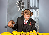 CHI 03 RK0305 01
Top Banana