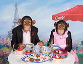 CHI 03 RK0315 01
Bon Ape-etit