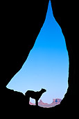 COU 01 RW0005 01
Mountain Lion At Tear Drop Arch Arizona