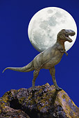 DIN 01 GL0001 01
Tyrannosaurus Rex Standing On Boulder With Moon In Background