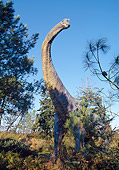 DIN 01 GL0003 01
Brachiosaurus Standing In Forest Against Blue Sky
