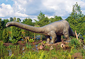 DIN 01 WF0003 01
Apatosaurus Standing By Water With Young