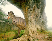 DIN 01 JZ0004 01
Allosaurus Standing Behind Rock