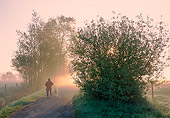 DOG 03 JS0010 01
Man Walking Golden Retriever On Dirt Path At Dawn