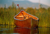 DOG 03 DB0031 01
Head Shot Of Golden Retriever In Boat