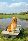 DOG 03 FA0011 01
Golden Retriever Standing In Rowboat On Pond By House Grass Trees Blue Sky