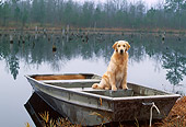 DOG 03 LS0043 01
Golden Retriever Sitting In Rowboat At Edge Of Lake