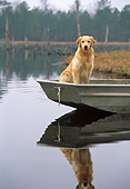 DOG 03 LS0044 01
Golden Retriever Sitting In Rowboat At Edge Of Lake