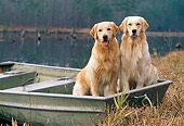 DOG 03 LS0045 01
Golden Retrievers Sitting In Rowboat At Edge Of Lake