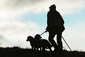 DOG 06 NR0038 01
Silhouette Of Hunter With Two Dogs Walking In Field