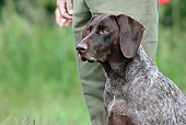 DOG 06 NR0044 01
Portrait Of German Shorthaired Pointer Sitting By Owner