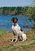 DOG 06 CE0043 01
German Shorthaired Pointer Sitting By Lake Trees Blue Sky