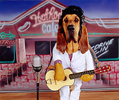 DOG 06 RK0235 16
Ain't Nothing But A Hound Dog