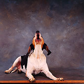 DOG 06 RS0001 02
Treeing Walker Coonhound Baying