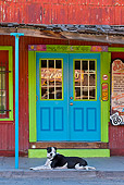 DOG 07 KH0012 01
Black And White Dog Laying On Doorstep Of Route 66 Bar, Arizona