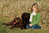 DOG 07 LS0002 01
Two Australian Labradoodles Sitting With Girl By Dry Grass