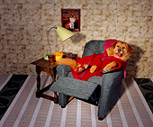 DOG 07 RK0534 04
Barka-Lounger