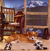 DOG 07 RS0008 01
Mixed Breed Dog Laying On Porch By Rocking Chair Mountains Lake Trees