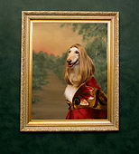 DOG 14 RK0026 10
Bona Lisa
Afghan Hound In Picture