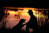 DOG 18 DB0046 01
Silhouette Shot Of Labrador Retriever And Owner At Lake At Sunset