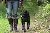 DOG 18 NR0117 01
Black Labrador Retriever Walking On Path Next To Owner