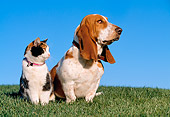 DOK 03 RK0186 14
Basset Hound And Calico Cat Sitting Together On Grass Hill Blue Sky
