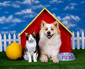 DOK 03 RK0019 04
Mixed Breed And Calico Cat Sitting Together By Dog House Blue Sky