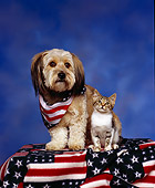 DOK 04 RK0029 01
Mixed Breed And Kitten On American Flag Blanket Blue Mottled Background
