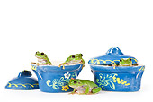 FRG 01 KH0049 01
Green Tree Frogs Sitting Inside Blue Floral Pots On White Seamless