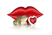 FRG 01 RK0078 02
African Bullfrog Sitting By Red Lips And Heart On White Seamless