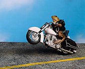 FRG 01 RK0036 05
Road Toad