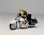 FRG 01 RK0039 19
Road Toad