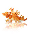 FSH 02 MH0010 01
Rose-branch Murex With Reflection In Studio