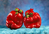 GCD 01 RC0002 01
Bell Pepper People On Blue Cloth