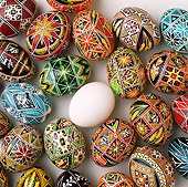 GCD 01 RK0077 06
Colorful Decorated Easter Eggs And One White White Background