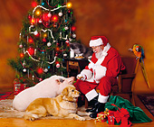 GCD 02 RK0003 05
Santa Claus With 