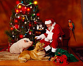 GCD 02 RK0003 01
Santa Claus With 