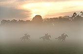 HOR 01 JE0005 01
English Thoroughbreds Racing On Field In Fog