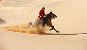 HOR 01 KH0173 01
Navajo Indian Riding Berger Horse In Sand Dunes